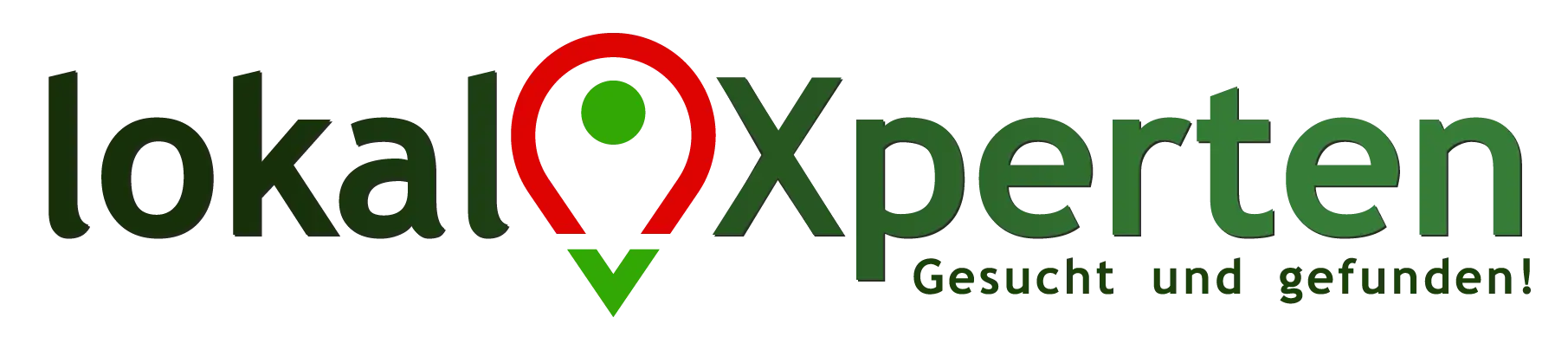 lokalXperten-logo